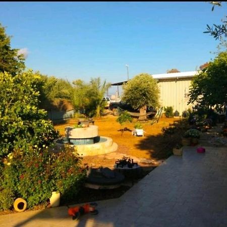 בחצר של טובה Leilighet Hazon Eksteriør bilde