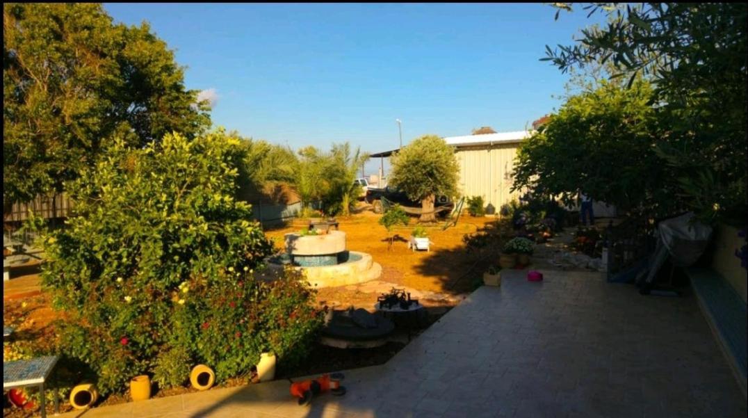 בחצר של טובה Leilighet Hazon Eksteriør bilde